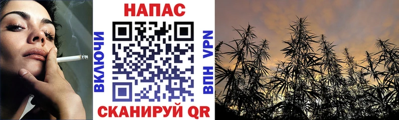 Бошки марихуана тримм  как найти закладки  Петушки 